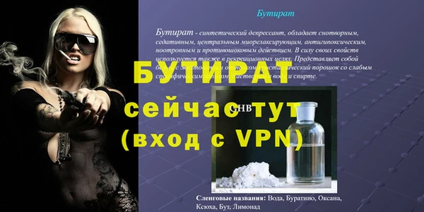 индика Бородино