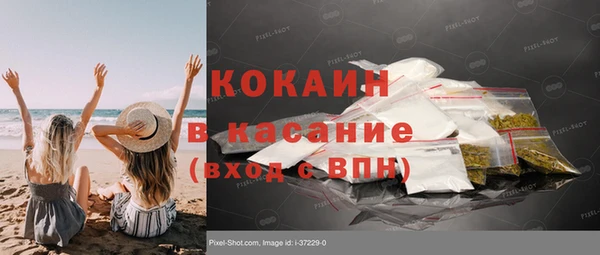 индика Бородино