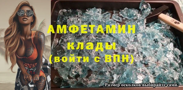 индика Бородино