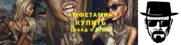 индика Бородино