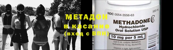 индика Бородино
