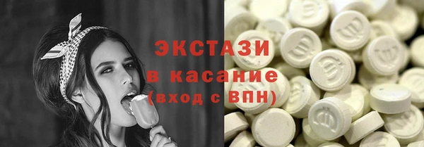 индика Бородино