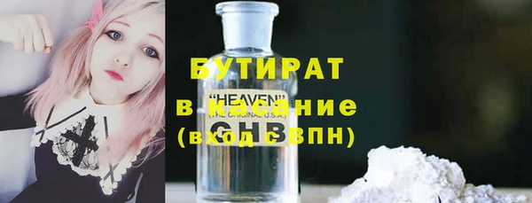 индика Бородино