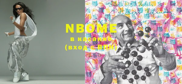 индика Бородино