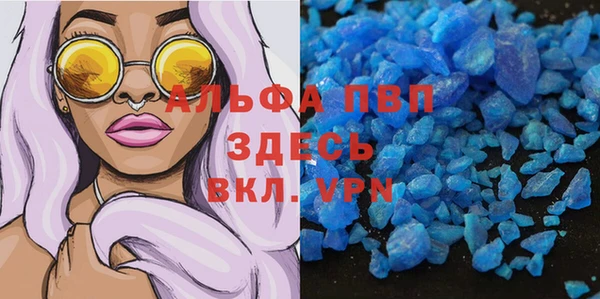 индика Бородино