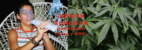 индика Бородино