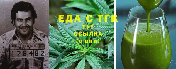 индика Бородино