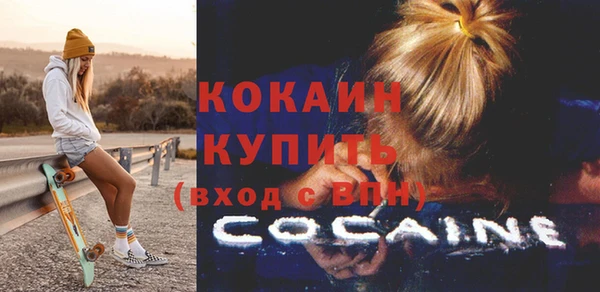 индика Бородино