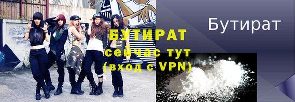 индика Бородино