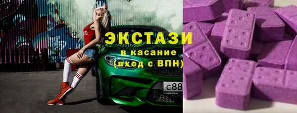 индика Бородино