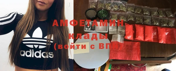 индика Бородино